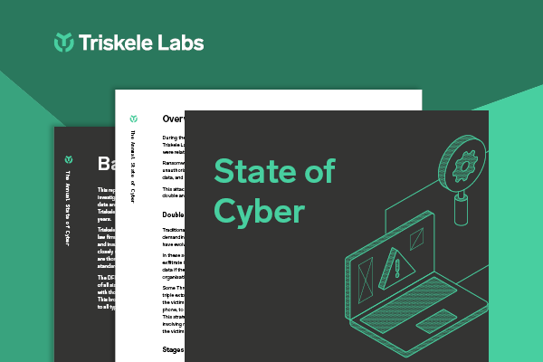HS newsletter image State of Cyber 600w_1