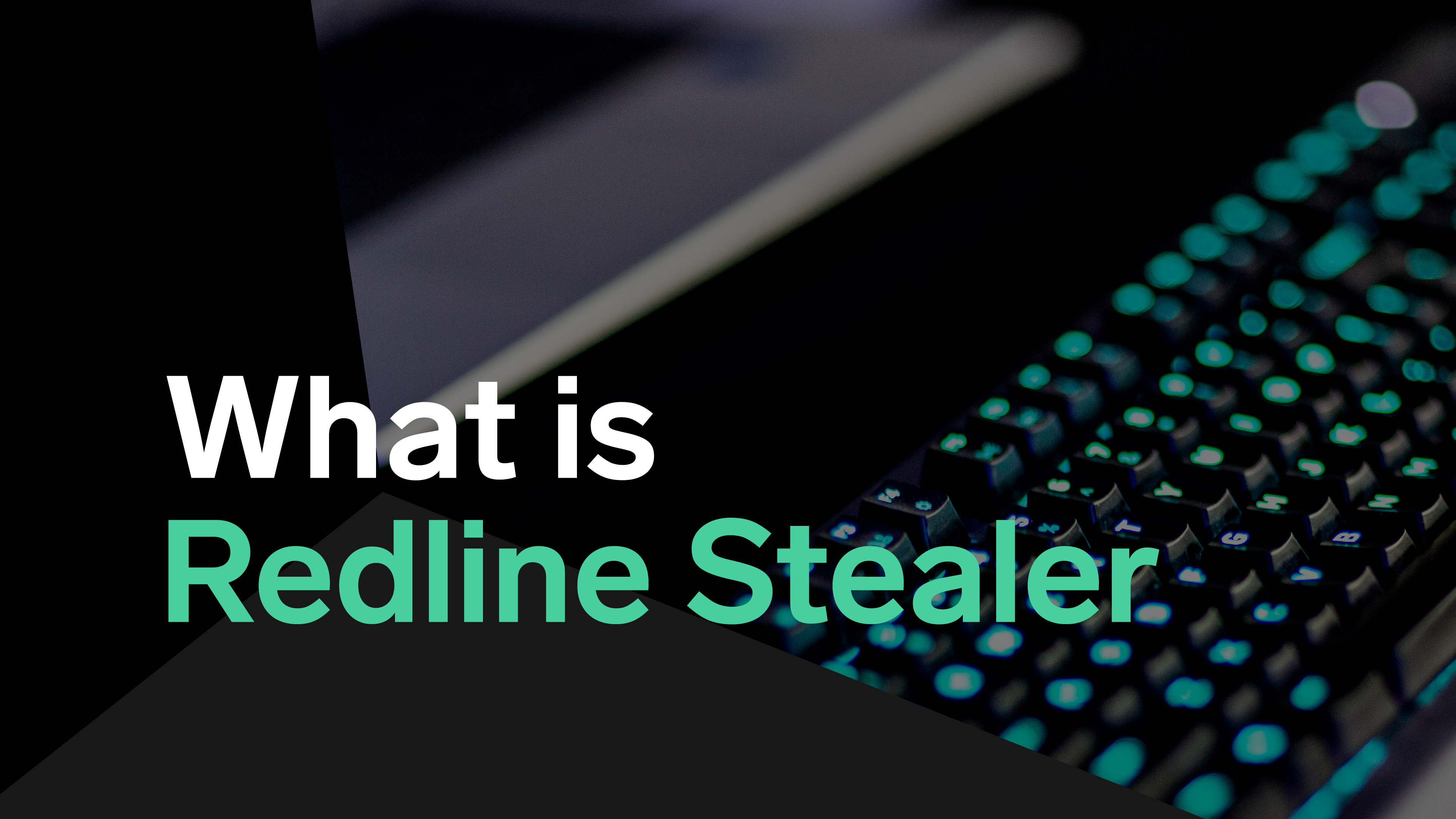 Redline Stealer Header